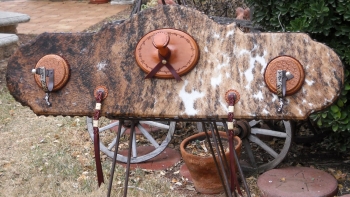 Double Duty Hat and Gun Rack